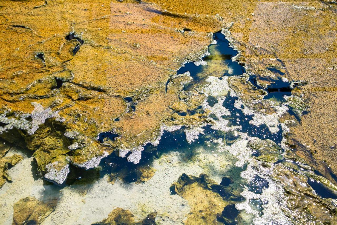 Hotel Terme Principe Abano Terme Exteriér fotografie